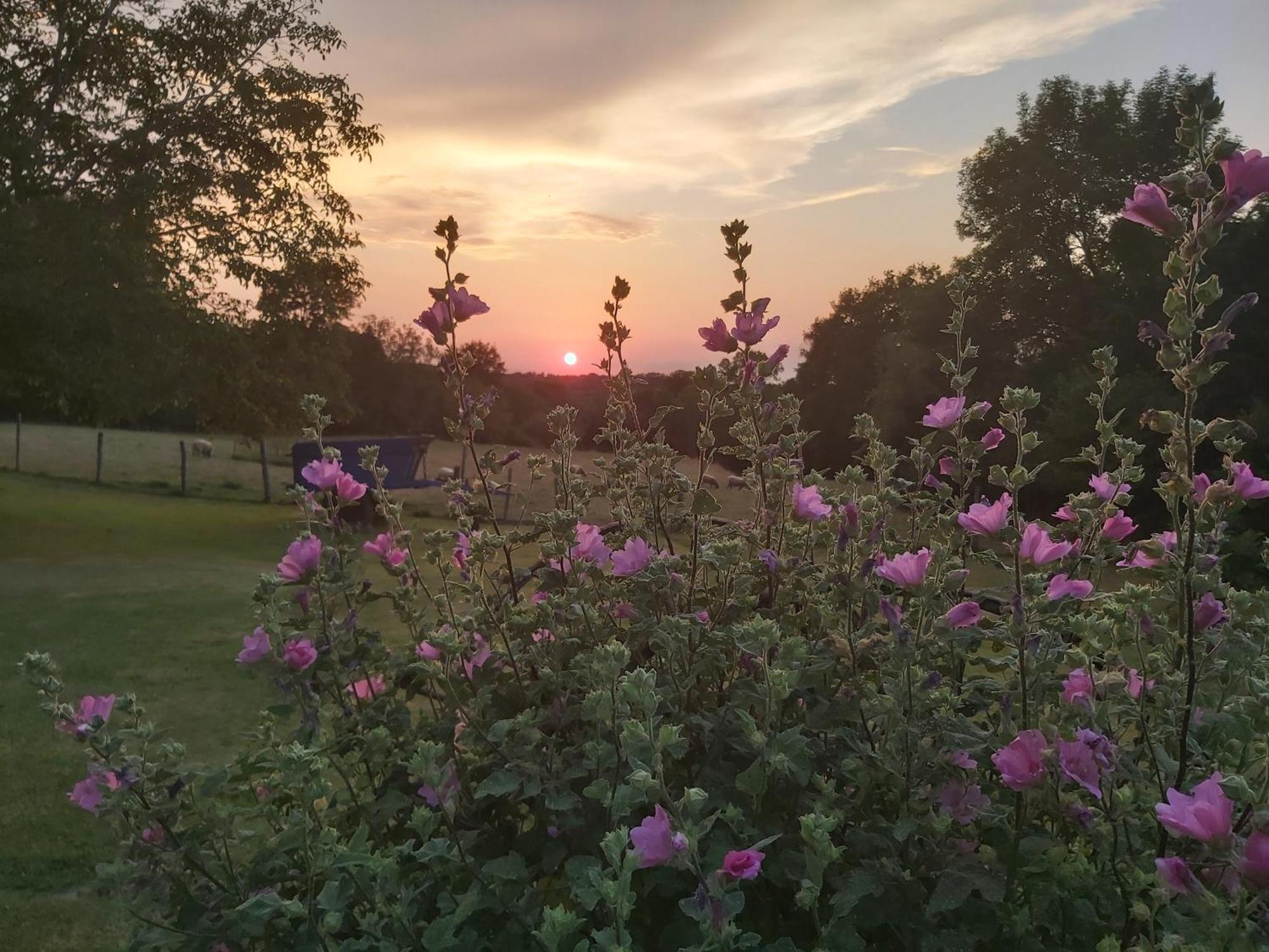 Le Petit Pre Bed & Breakfast Bouesse Bagian luar foto